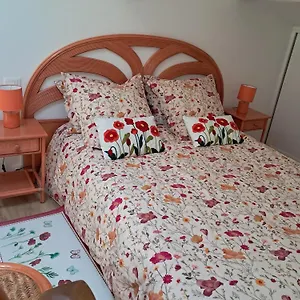 Appartement Les Coquelicots., Mirepoix (Ariege)
